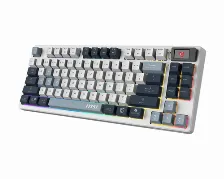 Teclado Msi Forge Gk600 Tkl Wireless, Inalambrico, Usb/bluetooth, Mecanico, Led Rgb, Ingles, Azul/blanco